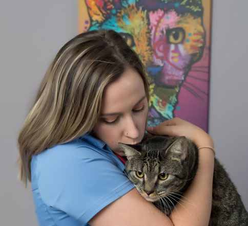 Cat Friendly Practice in Wethersfield: Technician Kissing Cat