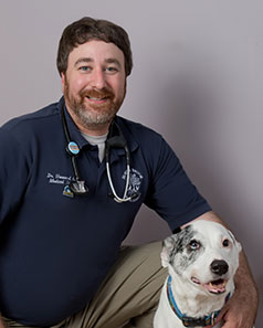 Veterinarians in Wethersfield: Dr. Asher